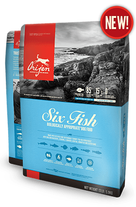 Orijen SIX Fish USA dog food 4.5 lb