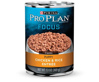 Pro Plan  Focus Puppy Chicken & Rice Entrée 13 oz